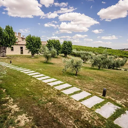 Frantoio L'olinda San Marcello (Ancona)