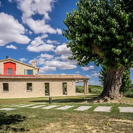 Frantoio L'olinda San Marcello (Ancona)